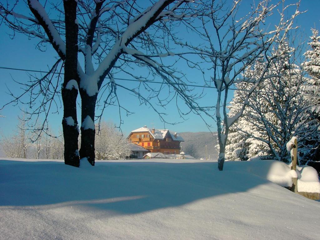 Hotel Da Barba B&B Азиаго Экстерьер фото